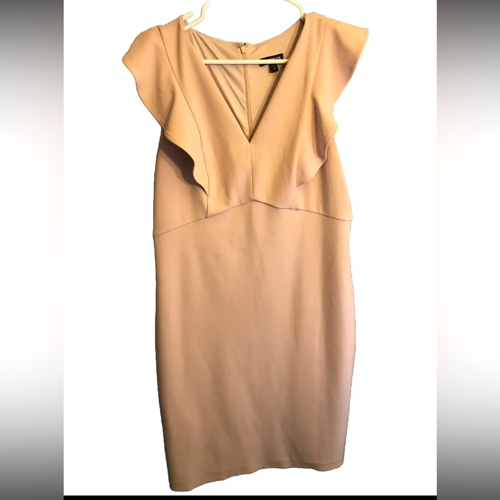 Express Short Blush Pink Formal Large Sleeveless Dress